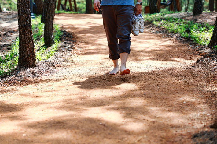 월송정 명품 맨발걷기길. 울진군 제공