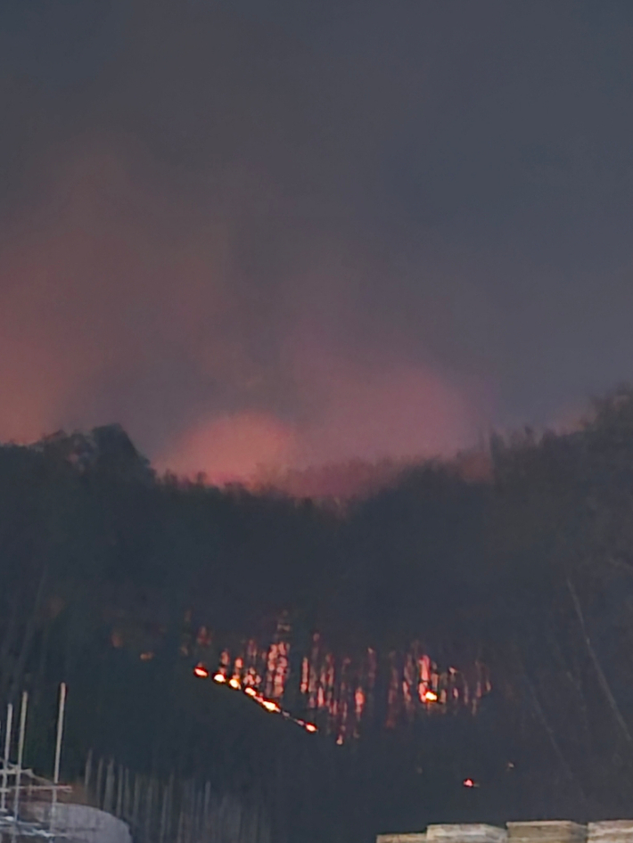 천안시 동남구 유량동 일대 산불 모습. 독자 제공