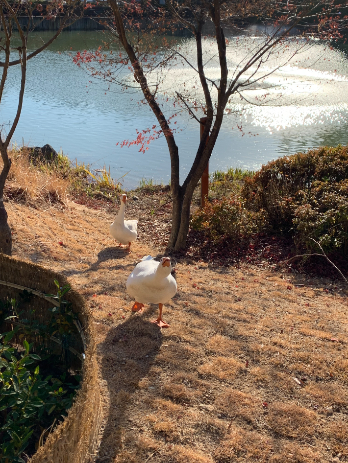 조중의 포항대학교 초빙교수·전직 언론인 제공