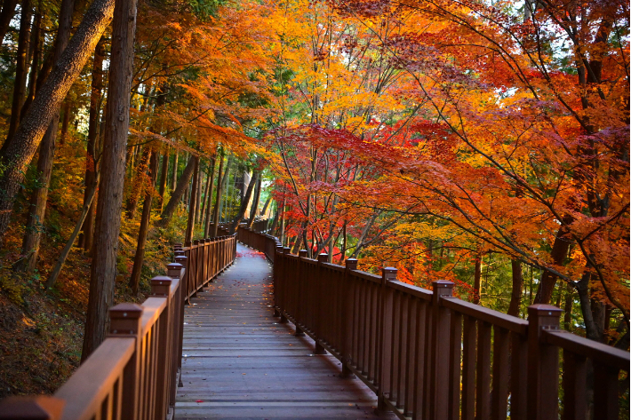진양호 노을길. 진주시청 제공