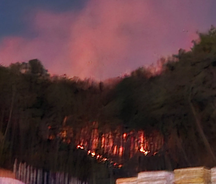 천안 산불. 산림청 제공