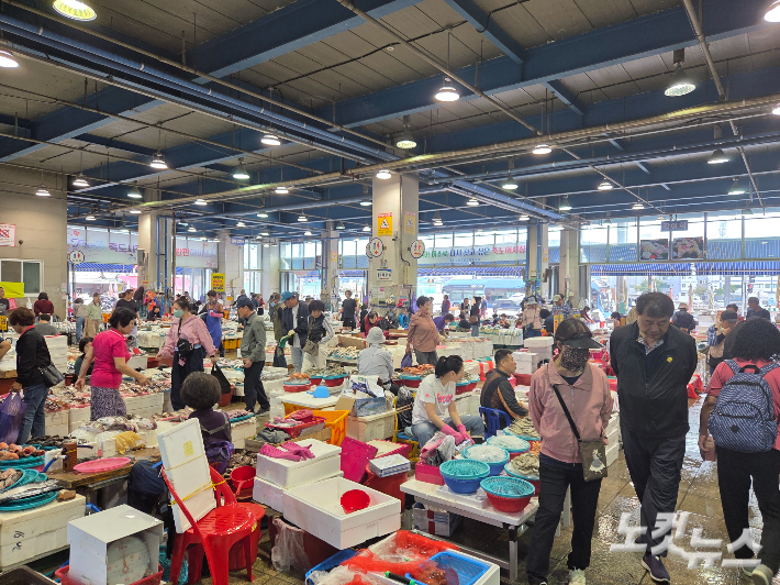 포항 죽도어시장. 김대기 기자