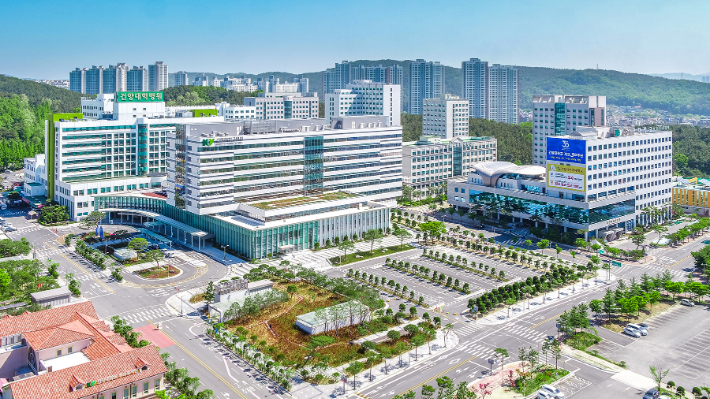 건양대병원 전경. 건양대병원 제공