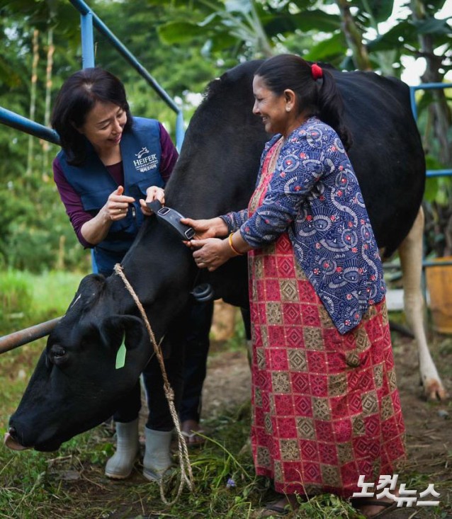헤퍼코리아, 네팔로 보낸 한국형 젖소…축산디지털 전환 성공