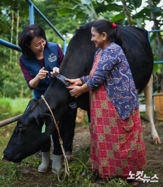 헤퍼코리아, 네팔로 보낸 한국형 젖소…축산디지털 전환 성공