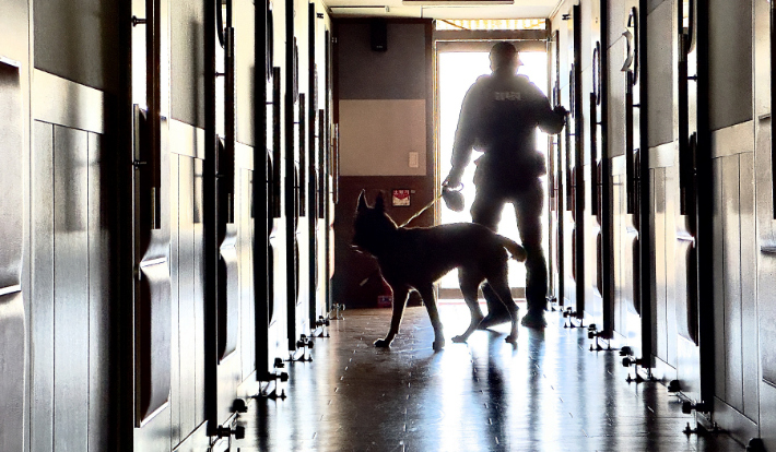 경찰 특공대가 폭발물 수색을 위해 학교를 살펴보는 모습. 연합뉴스