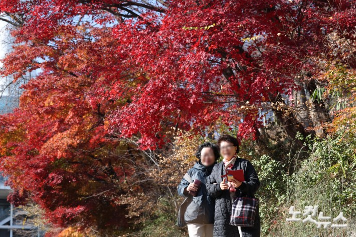 19일 서울 남산을 찾은 시민과 관광객들이 단풍이 물든 나무 아래를 오가고 있다.