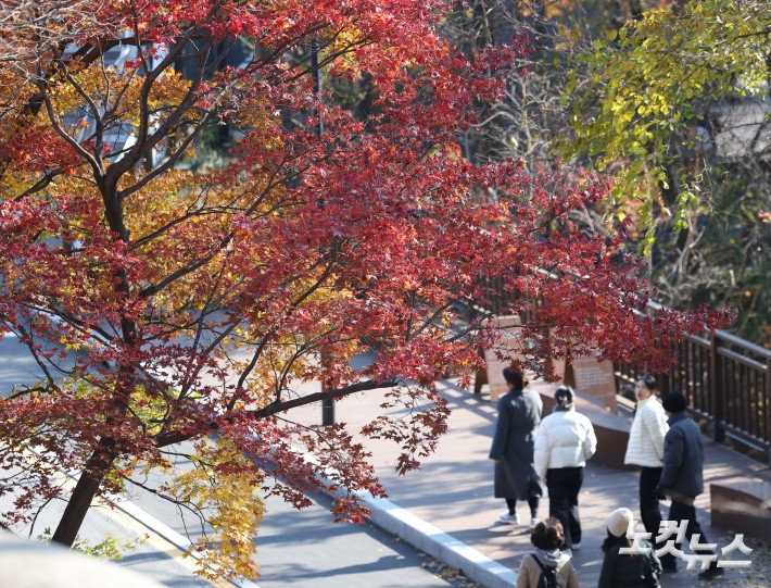19일 서울 남산을 찾은 시민과 관광객들이 단풍이 물든 나무 아래를 오가고 있다.