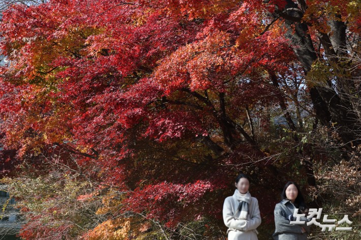 19일 서울 남산을 찾은 시민과 관광객들이 단풍이 물든 나무 아래를 오가고 있다.