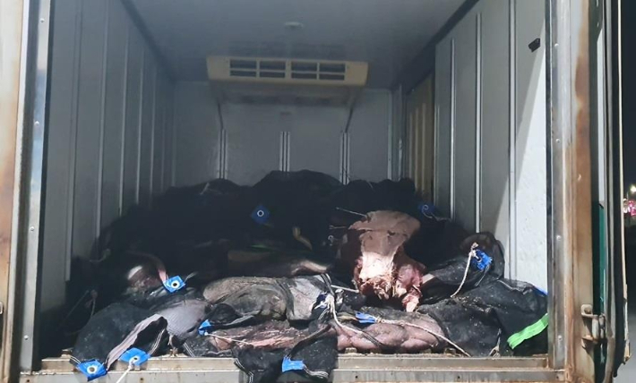 지난 5월 불법포획돼 유통되려던 고래고기. 포항해경 제공