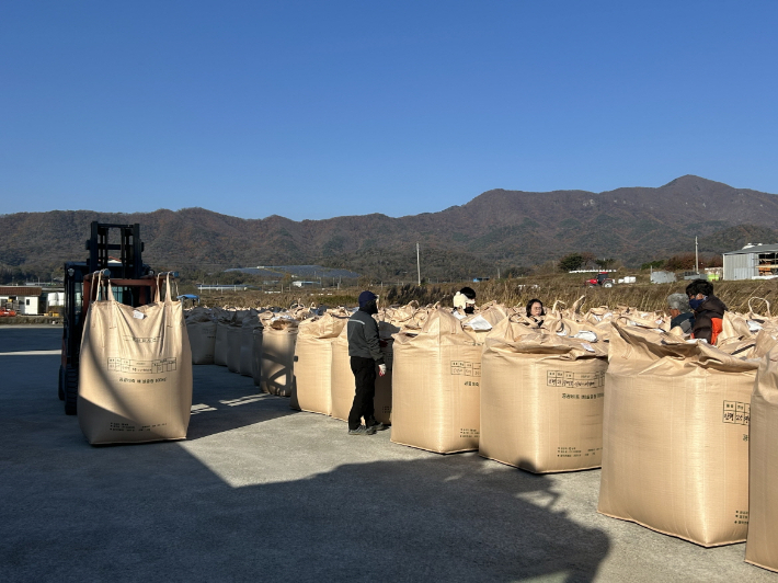 포항시가 20일 신광면을 시작으로 12월 18일까지 지역 11개 읍·면에서 '2025년산 공공비축미곡' 포대벼 매입을 진행한다. 포항시 제공