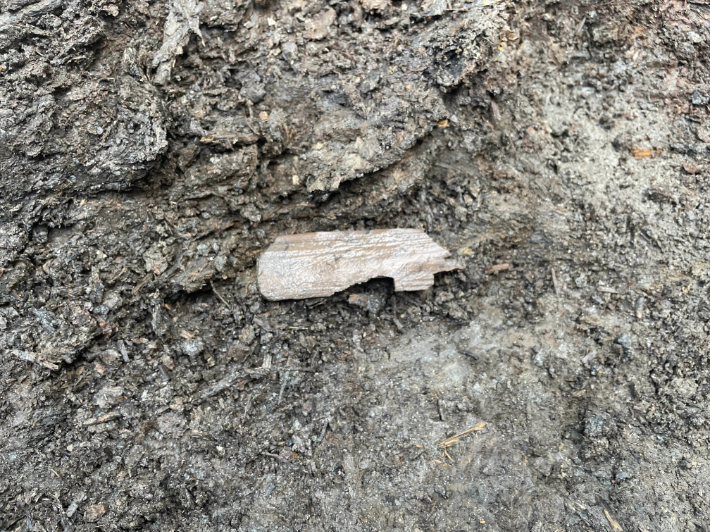 경기 양주시와 기호문화유산연구원은 올해 양주 대모산성에서 진행된 15차 발굴 조사에서 목간(木簡·글씨를 쓴 나뭇조각) 3점과 백제시대에 제작된 것으로 추정되는 토기 등을 확인했다고 20일 밝혔다. 양주시·기호문화유산연구원 제공