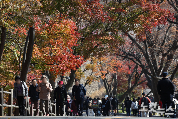 19일 서울 남산을 찾은 시민과 관광객들이 단풍이 물든 나무 아래를 오가고 있다. 류영주 기자