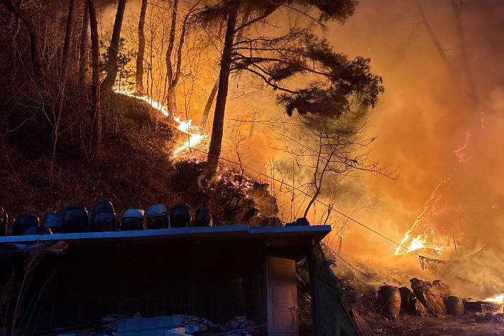 20일 오후 5시 23분쯤 강원 인제군 기린면 현리의 한 야산에서 불이 났다. 강원소방본부 제공