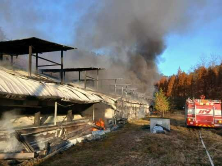 괴산소방서 제공