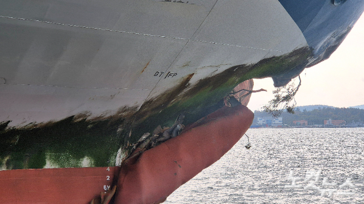 좌초된 여객선 '퀸제누비아2호'가 전남 목포시 삼학부두에 정박돼 있다. 배 앞머리 부분이 심하게 찌그러진 모습. 한아름 기자