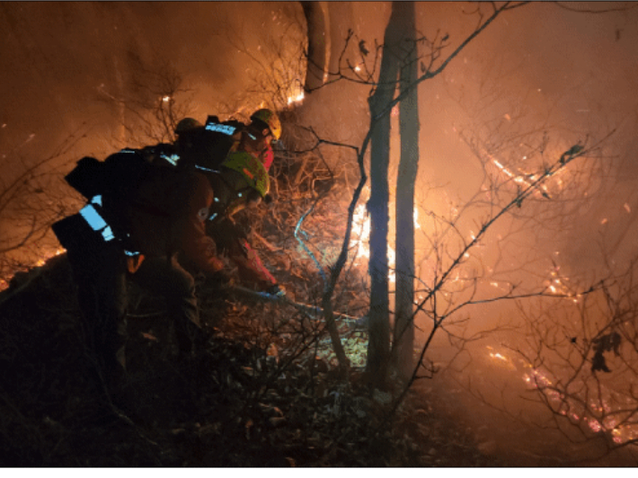 양양 산불 진화에 나선 진화대원들. 산림청 제공