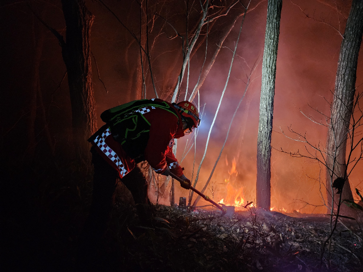 양양 산불 진화에 나선 진화대원들. 산림청 제공