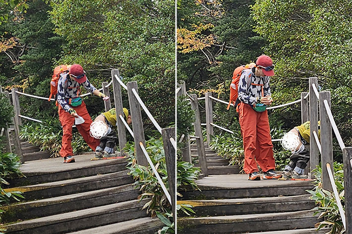 민원인 A씨 제공