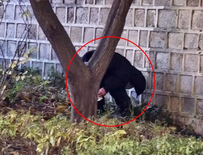 서경덕 교수 페이스북 캡처