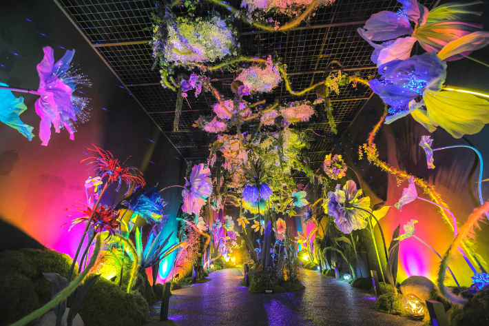 코스믹리조트 내 미디어 아트. 경북문화관광공사 제공