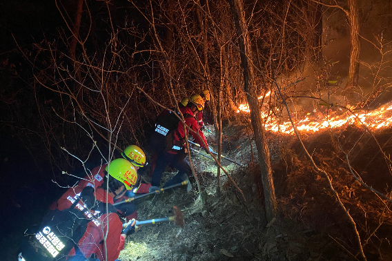 강원 인제 기린면 산불 진화 작업 모습. 산림청 제공