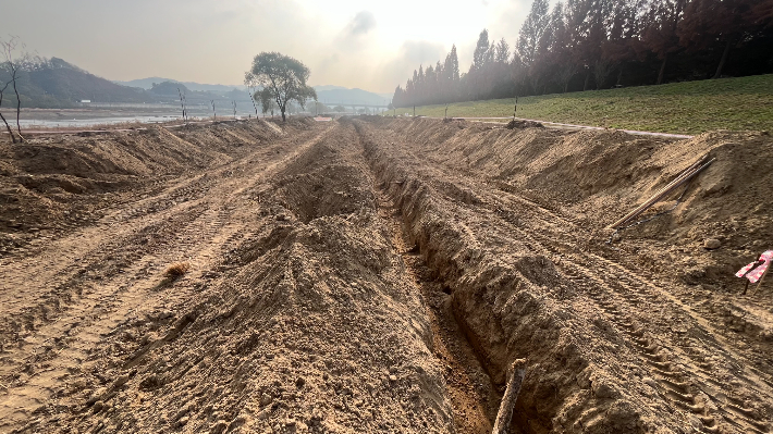 억새밭이 있던 갑천 용신교 인근. 대전충남녹색연합 제공