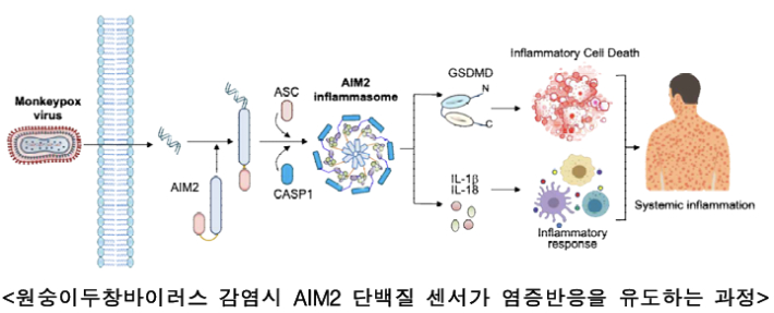 질병관리청 제공