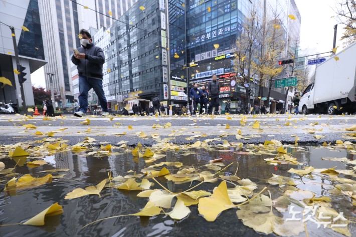 가을비가 내린 25일 서울 중구의 한 거리에 떨어진 은행잎이 비에 젖어 있다.