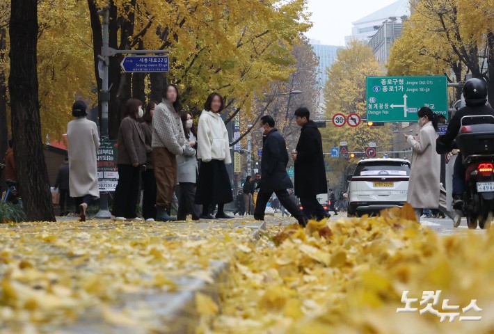 가을비가 내린 25일 서울 중구의 한 거리에 비를 맞고 떨어진 은행잎이 쌓여있다.