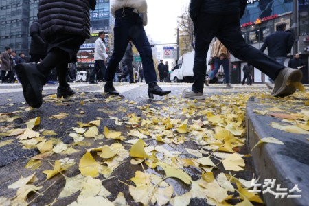 가을비가 내린 25일 서울 중구의 한 거리에 떨어진 은행잎이 비에 젖어 있다.