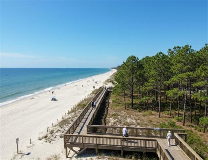 해안 송림 무장애 나눔길. 강릉시 제공