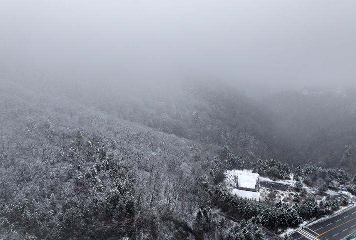 강원 산지 전역을 중심으로 대설특보가 발효된 25일 양양군 구룡령 정상 일원에 눈이 쌓여 있다. 연합뉴스