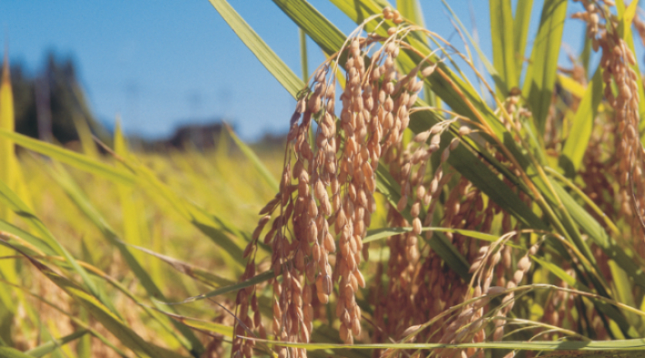 스마트이미지 제공 