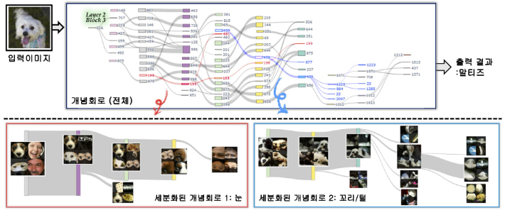 KAIST 연구팀에서 제안한 개념회로에 대한 개요. KAIST 제공