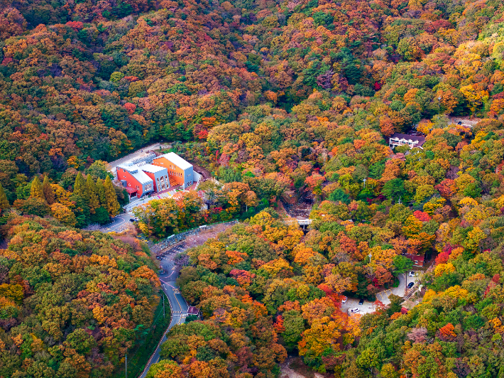 거제 자연휴양림. 경남도청 제공 