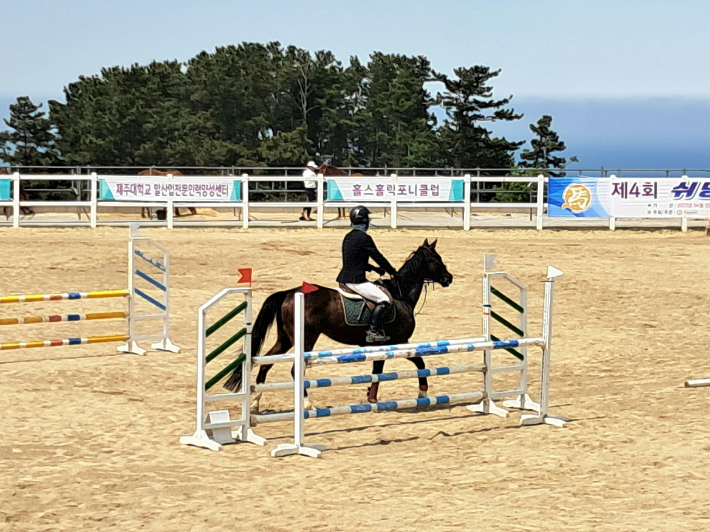 승마대회 모습. 제주도 제공 