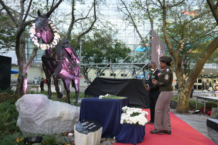 지난 10월 제주도와 한국마사회가 렛츠런파크에서 레클리스 기념행사와 감사패 제막식을 열었다. 제주도 제공