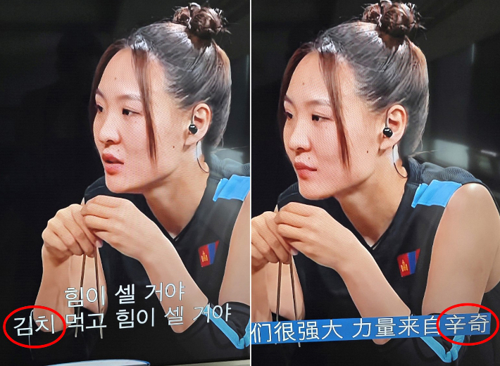 서경덕 교수 제공