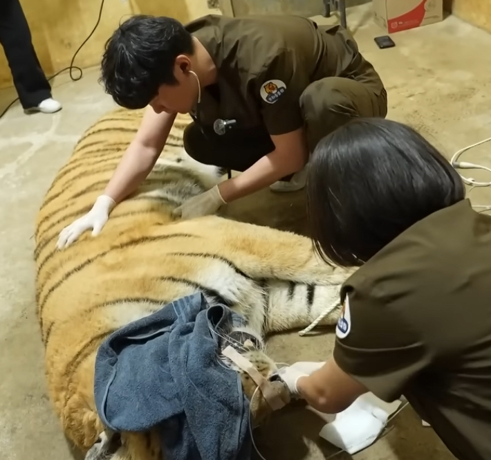 광주우치동물원. 광주광역시 제공