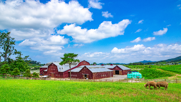 전북 고창 상하농장. 전북도 제공