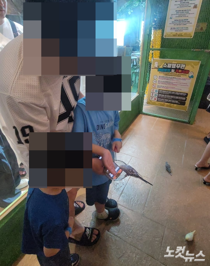 승용 씨와 아이들이 놀이공원에서 새 모이주기 체험을 하고 있다. 아내 제공