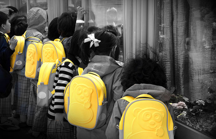 스마트이미지 제공