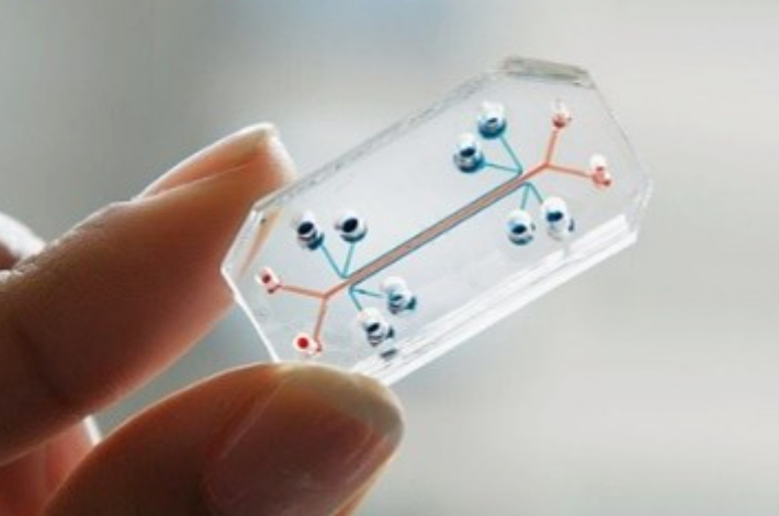 랩온어 칩. 춘천바이오진흥원 제공