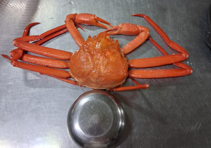 강원 속초에서 홍게를 주문한 소비자가 가격에 대한 불만을 호소하는 올린 사진. 온라인 커뮤니티 캡처