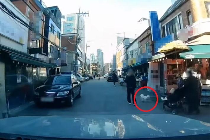 유튜브 채널 한문철TV 영상 캡처