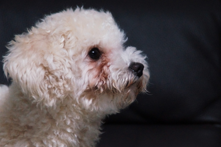 스마트이미지 제공