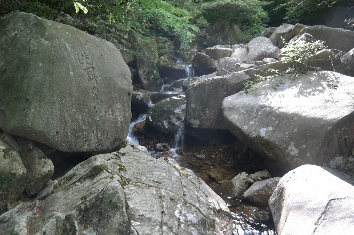 전남도가 자연유산으로 지정한 장흥 장천동과 팔경 암각문 세이담. 전라남도 제공