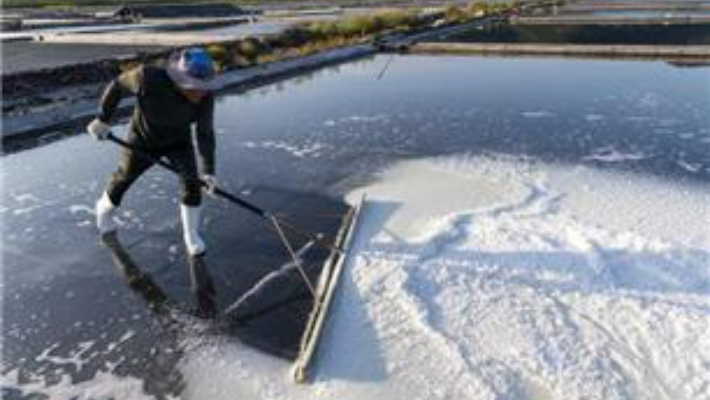 기사와 직접적 관련 없음. 자료사진 