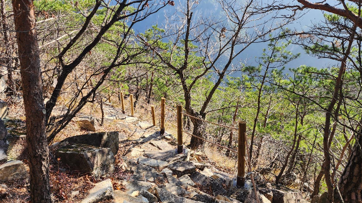 피마름골 숲길. 동해시 제공